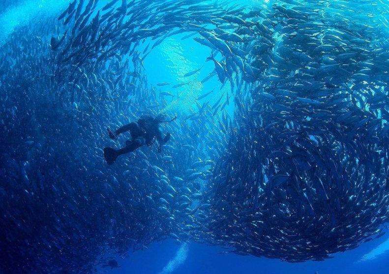 守望先锋电竞
