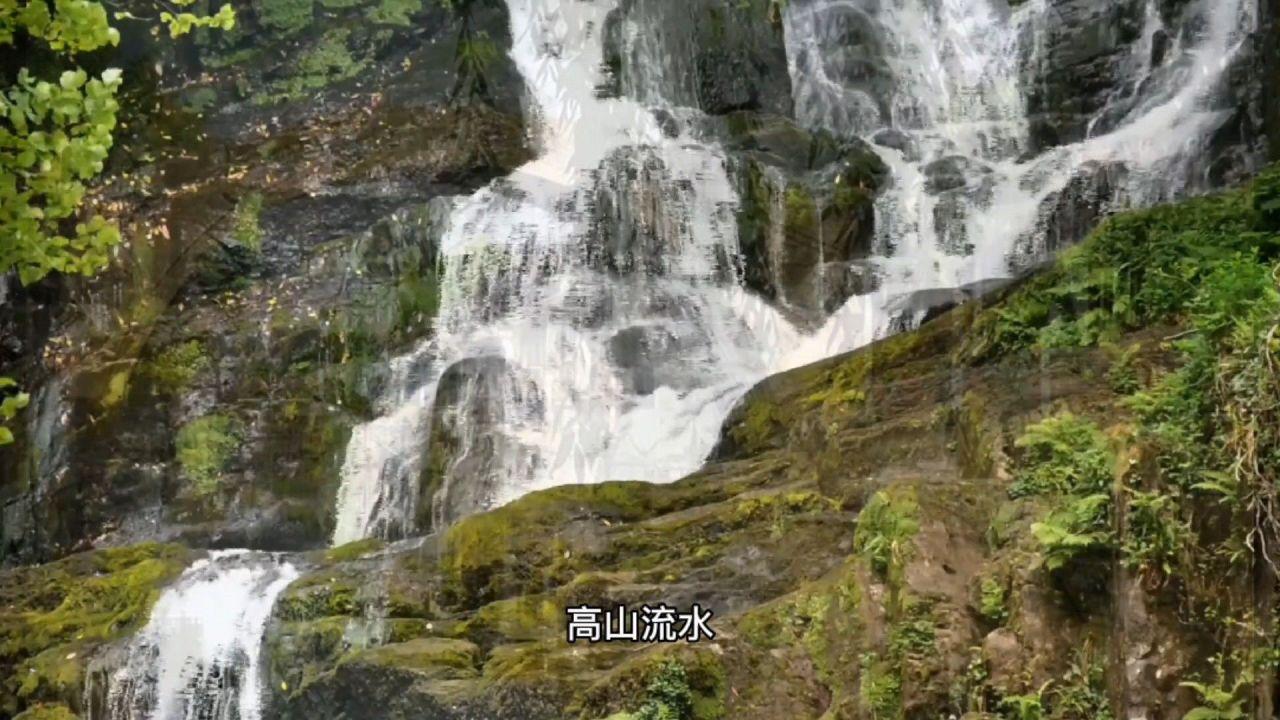 1959年一战士被毒蛇咬伤查不到蛇源，请来季德胜：怀孕的蝮蛇咬的