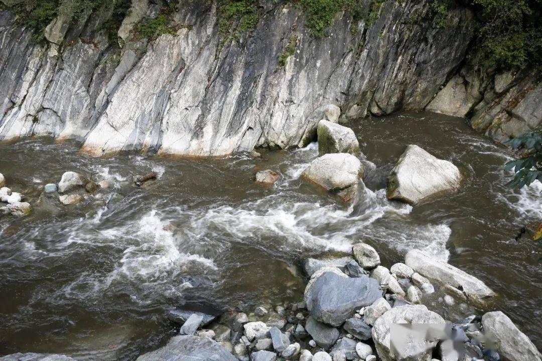 逃离废弃高校